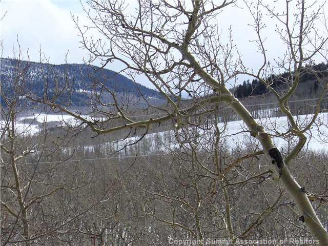 289 Round Hill Road Fairplay, CO 80440 - Photo 12 of 15