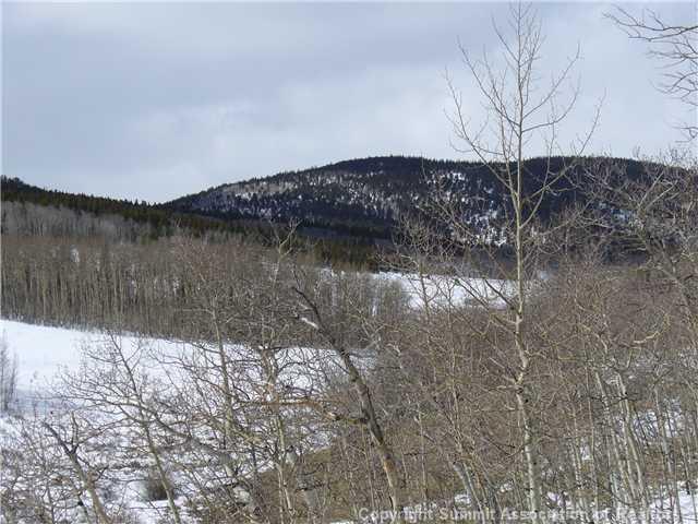 289 Round Hill Road Fairplay, CO 80440 - Photo 14 of 15 a view of tree in front of a house
