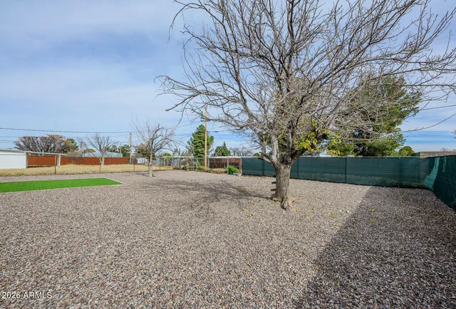 a view of a yard with trees
