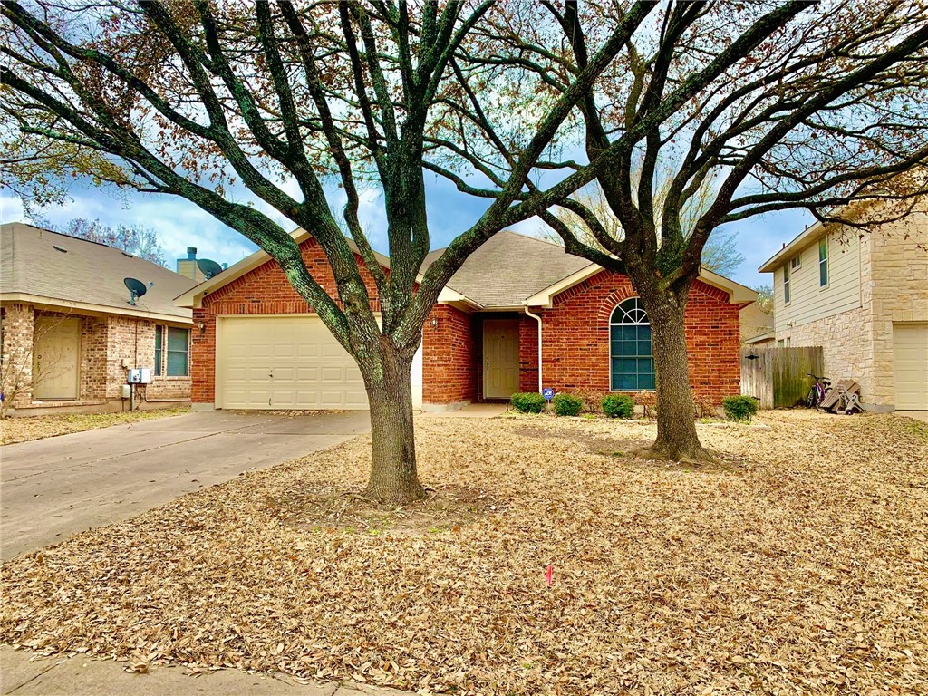 a tree in front of a white house