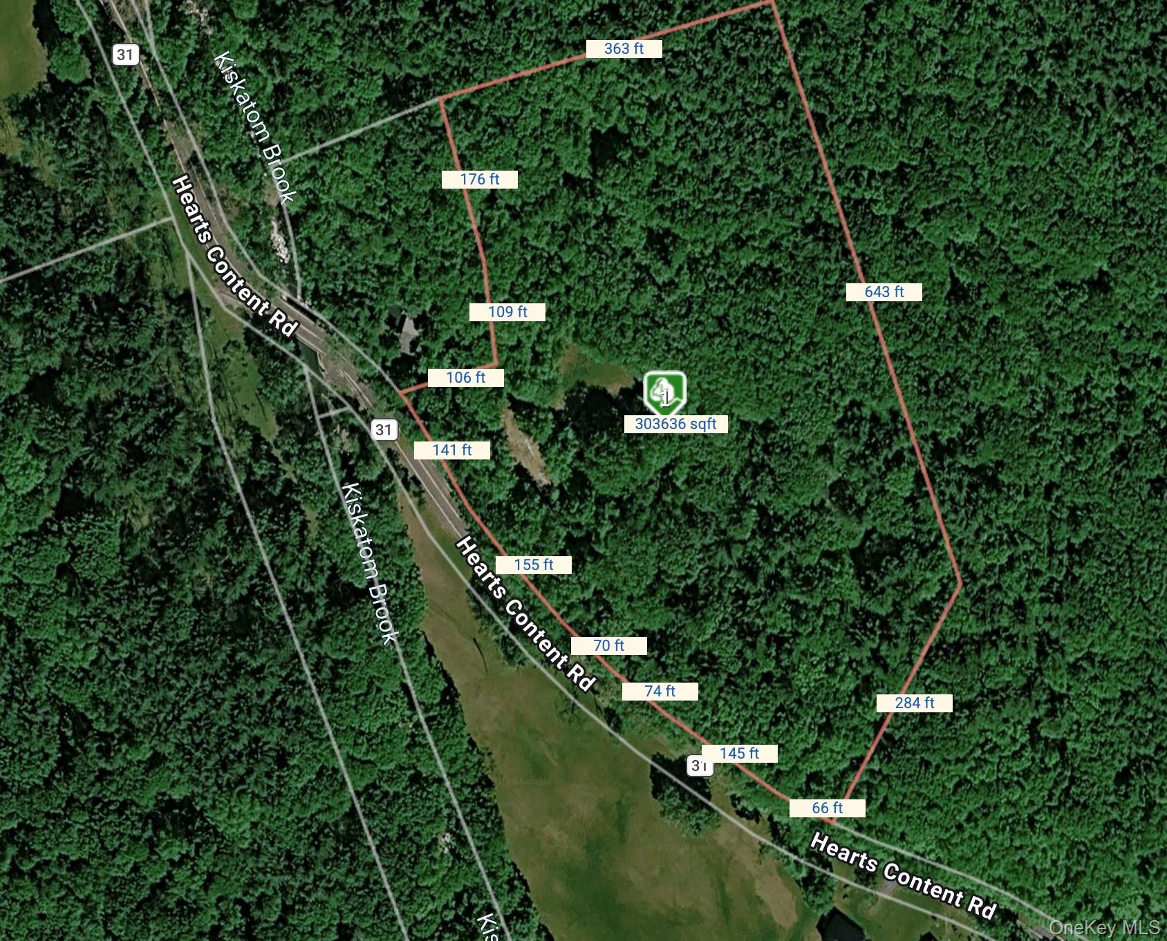 804 Hearts Content Road Cairo, NY 12473 - Photo 2 of 34 a view of a yard