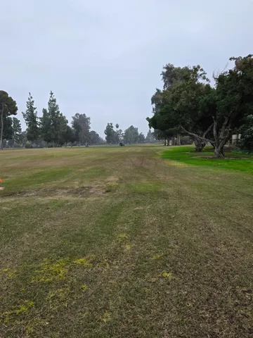 a view of an ocean and trees