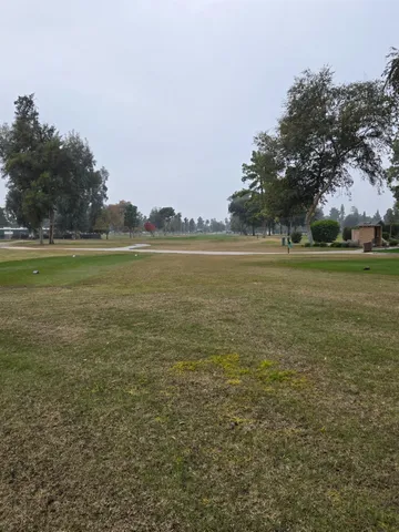 a view of an ocean from a yard