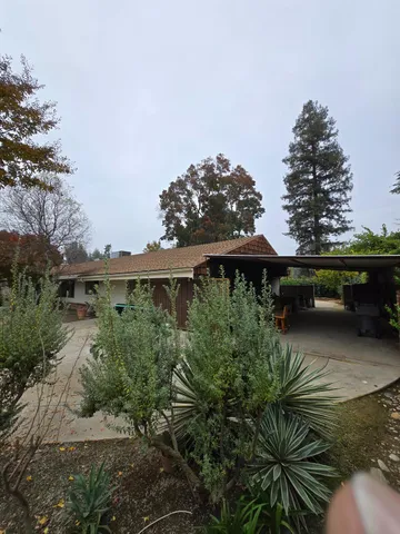 a view of a backyard