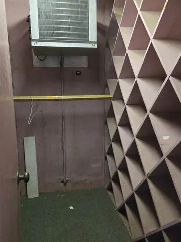 a view of a pathway with a tree