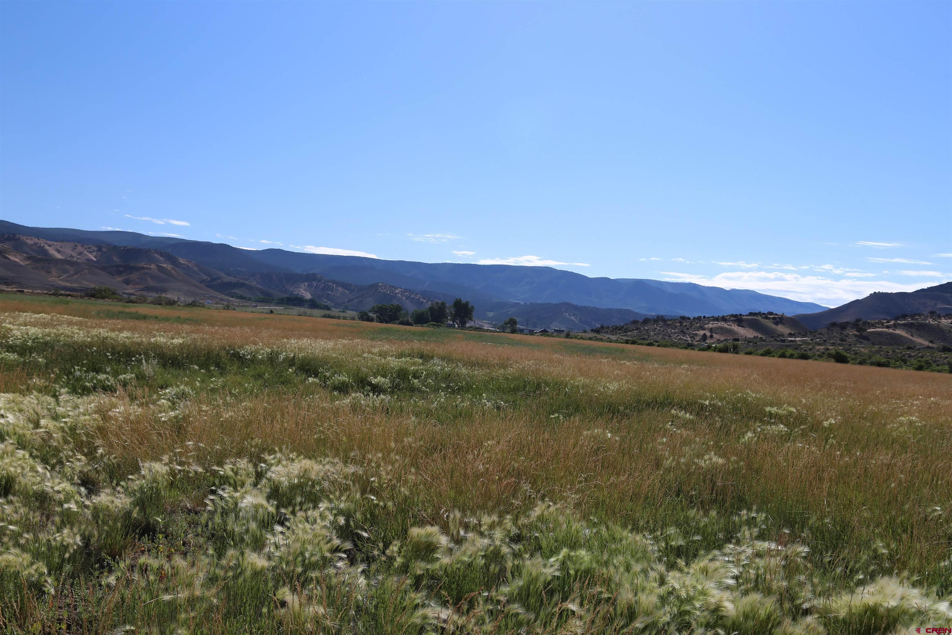 Lot 1 Miguel Road Montrose, CO 81401 - Photo 5 of 6 Gallery Image 5