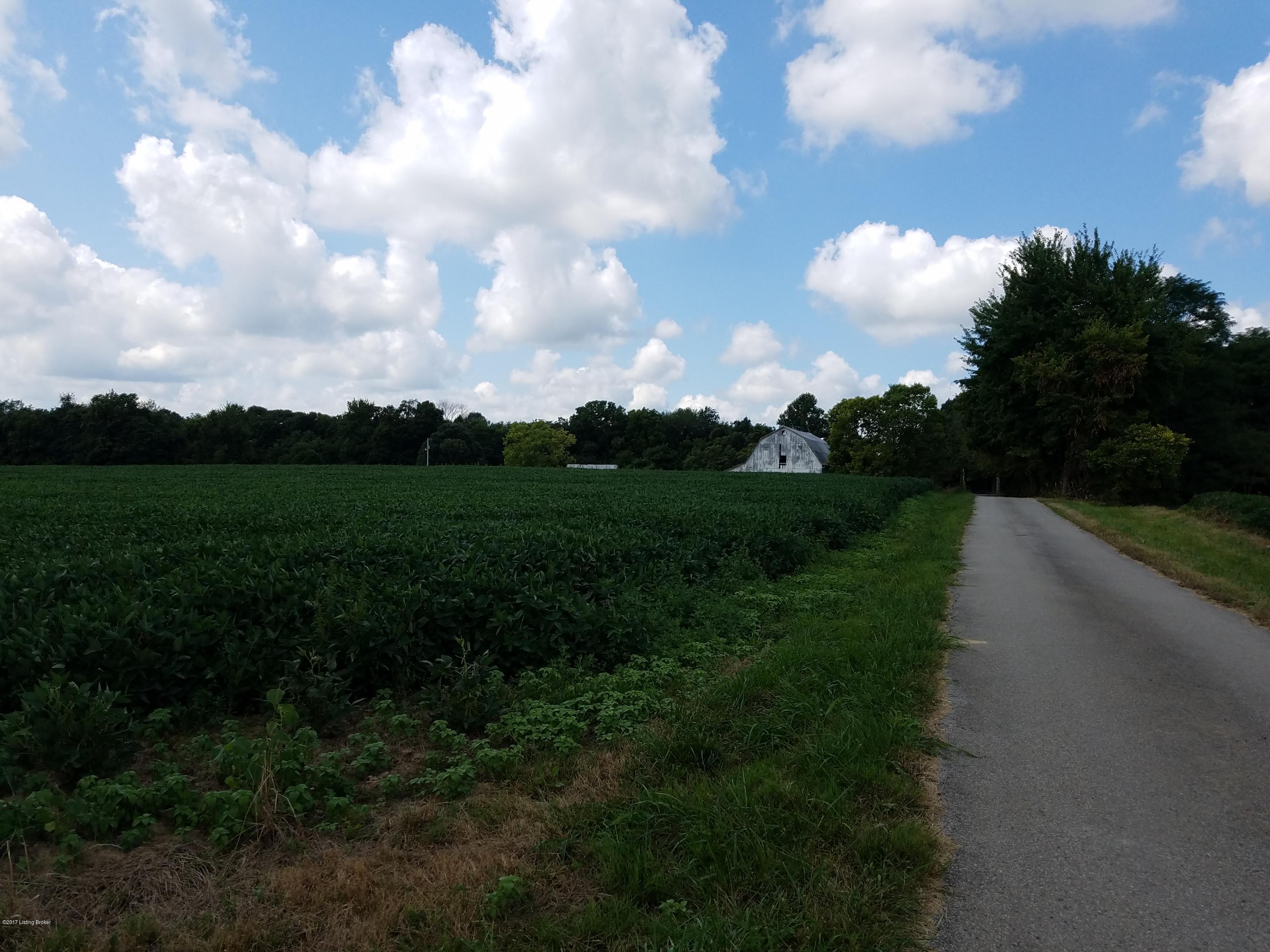 222 Powell Hill Road Milton, KY 40045 - Photo 6 of 27 06