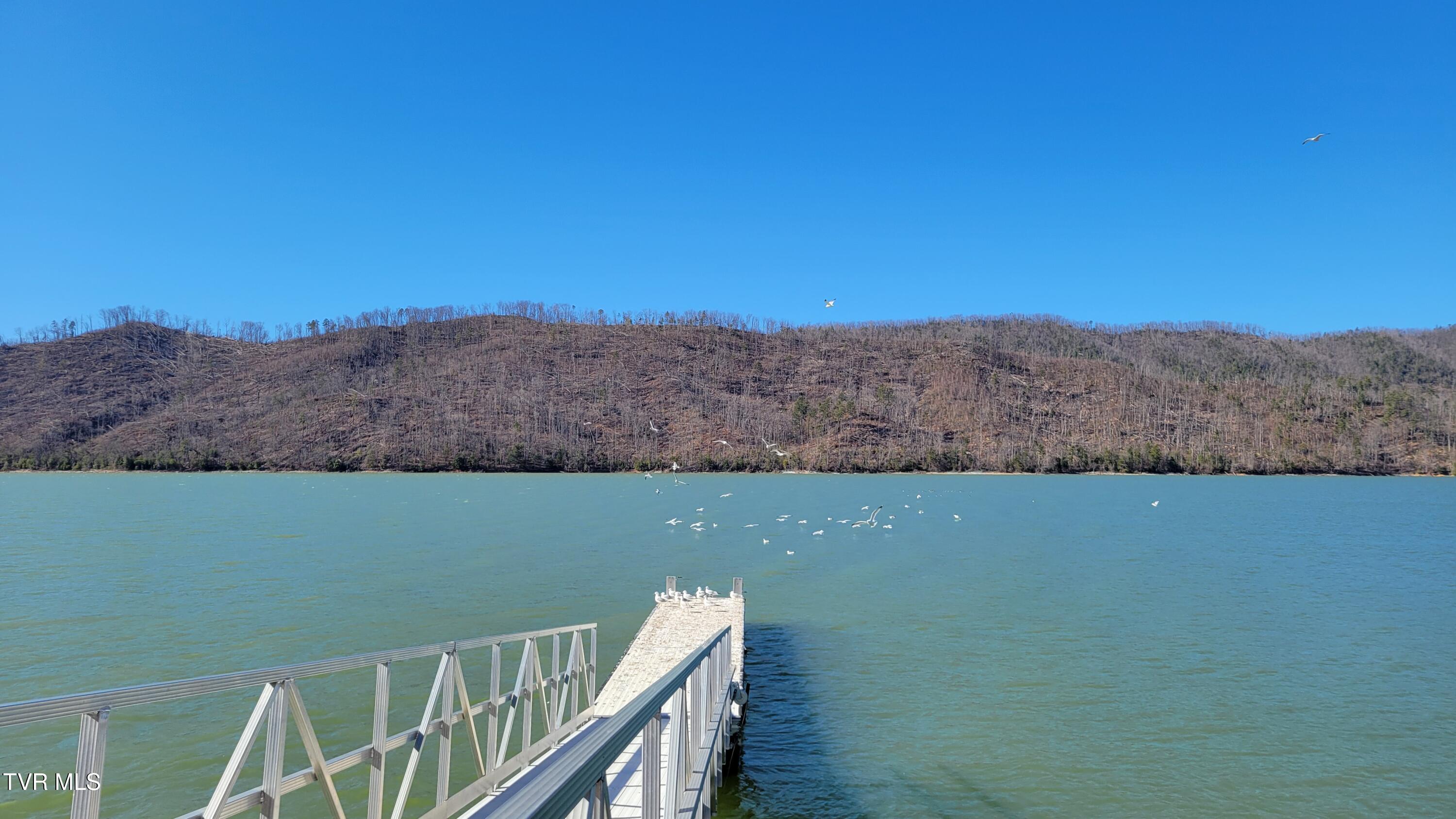 Lot 87 Harbour View Road, Unit 87 Butler, TN 37640 - Photo 24 of 30 harbourdockbirdsview
