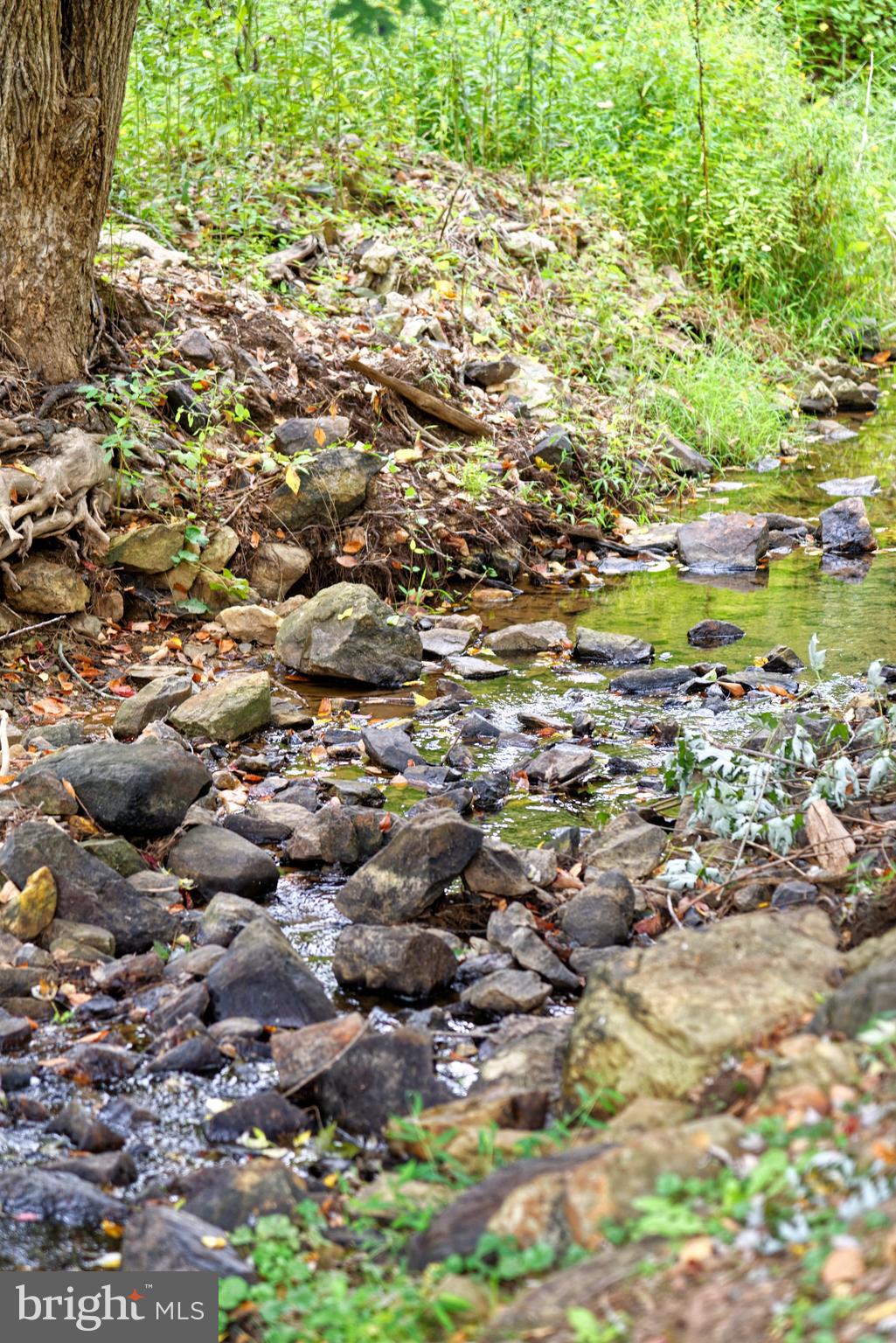 19205 Dunlop Mill Road Leesburg, VA 20175 - Photo 47 of 55 Views of the North Fork of Sycolin creek