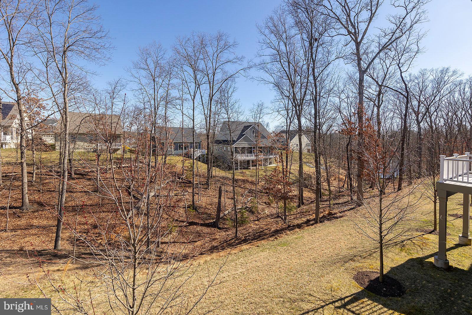 159 Towhee Drive White Post, VA 22663 - Photo 45 of 63 Backs to trees