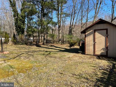 307 Garnett Road Joppa, MD 21085 - Photo 46 of 52 watch the wild life