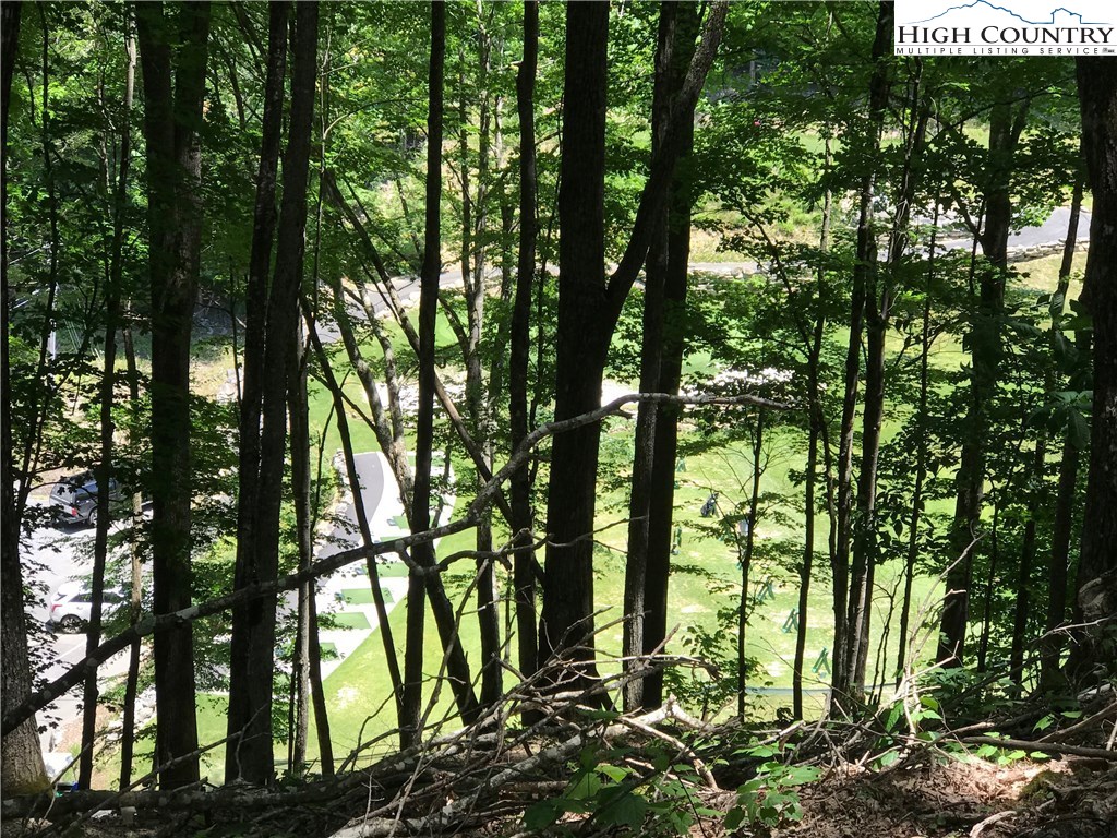 136 Club House Road Beech Mountain, NC 28604 - Photo 1 of 5 Gallery Image 1