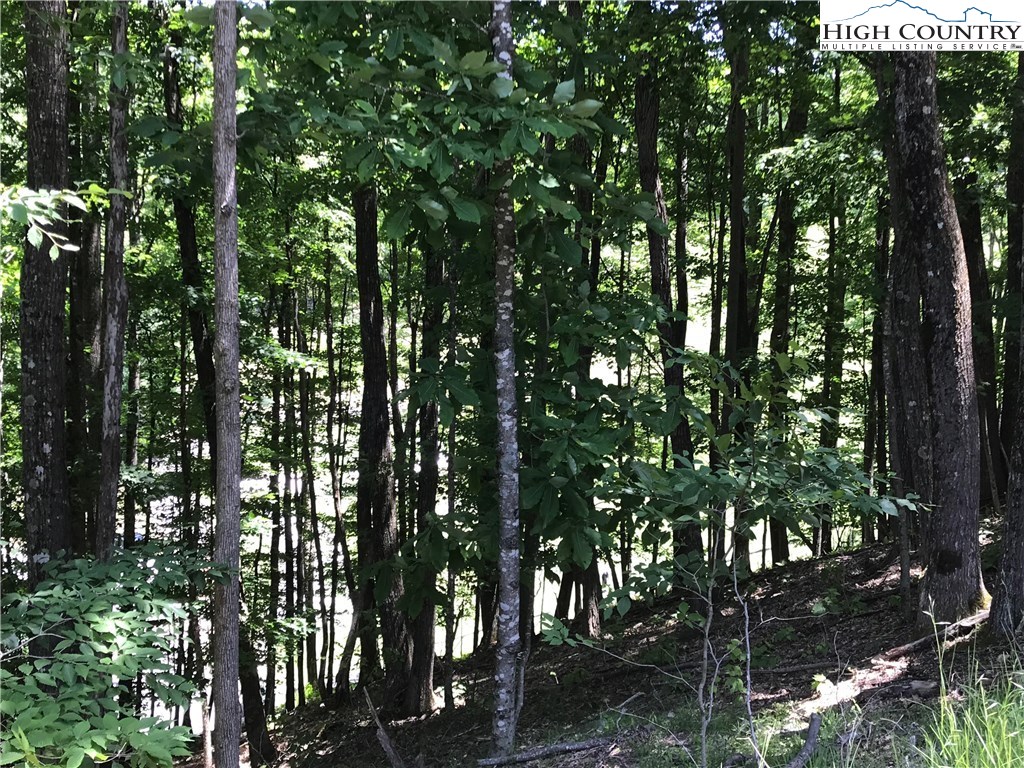 136 Club House Road Beech Mountain, NC 28604 - Photo 2 of 5 Gallery Image 2