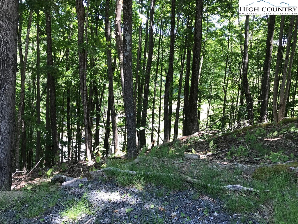 136 Club House Road Beech Mountain, NC 28604 - Photo 4 of 5 Gallery Image 4