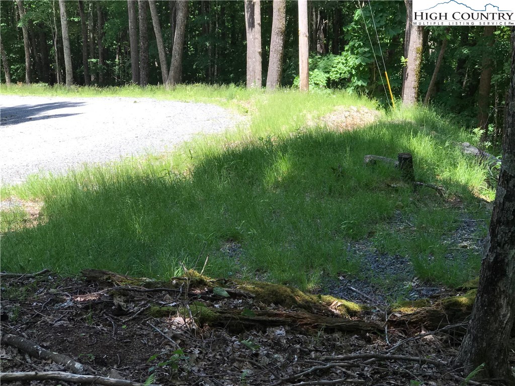 136 Club House Road Beech Mountain, NC 28604 - Photo 5 of 5 Gallery Image 5