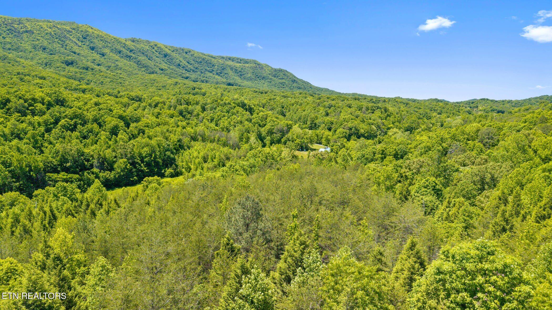 3 Rd Seymour Tn 37865 Seymour, TN 37865 - Photo 12 of 23 dji_20260514125229_0283_d