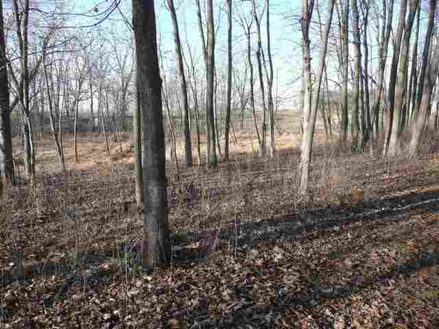 Tbd North Rock City Road Ridott, IL 61067 - Photo 10 of 12 Gallery Image 10