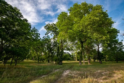 $499,000 | 110 Rustic River Street, Martindale, TX 78655