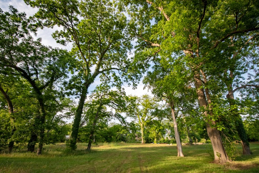 110 Rustic River Street Martindale, TX 78655 - Photo 14 of 28 View of nature