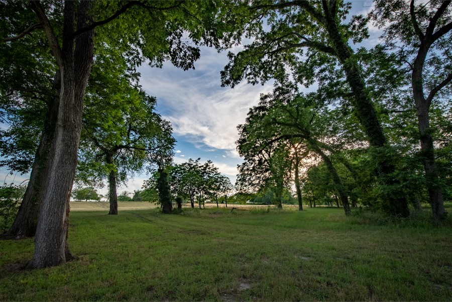 110 Rustic River Street Martindale, TX 78655 - Photo 23 of 28 View of grassy yard