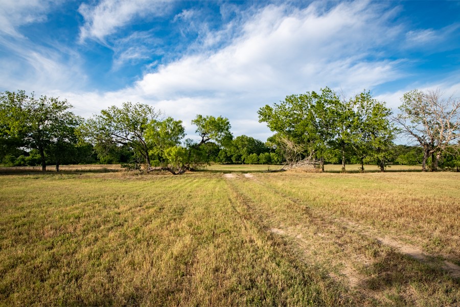 110 Rustic River Street Martindale, TX 78655 - Photo 6 of 28 View of green lawn with a view of rural / pastoral area