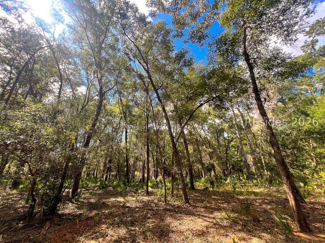 1 Rodeo Drive Daufuskie Island, SC 29915 - Photo 12 of 20