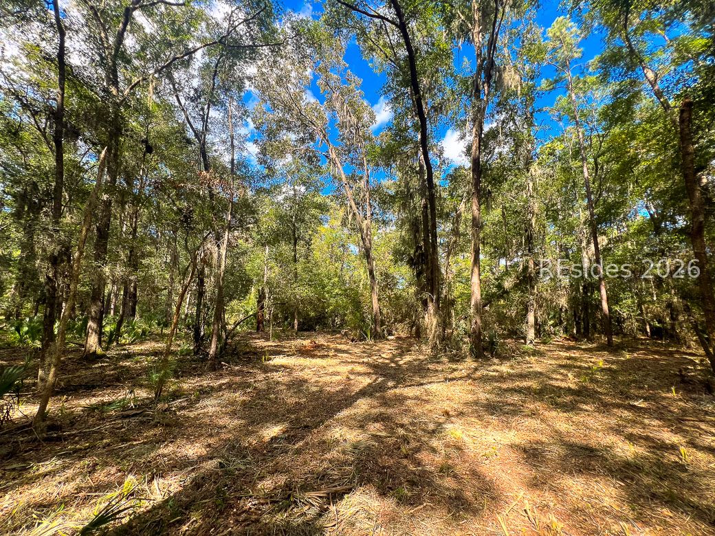 1 Rodeo Drive Daufuskie Island, SC 29915 - Photo 13 of 20