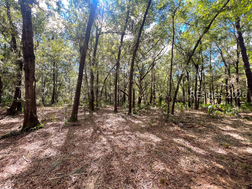 1 Rodeo Drive Daufuskie Island, SC 29915 - Photo 14 of 20