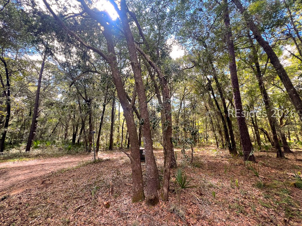 1 Rodeo Drive Daufuskie Island, SC 29915 - Photo 15 of 20