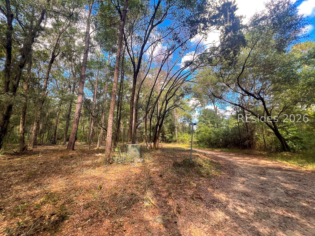 1 Rodeo Drive Daufuskie Island, SC 29915 - Photo 2 of 20
