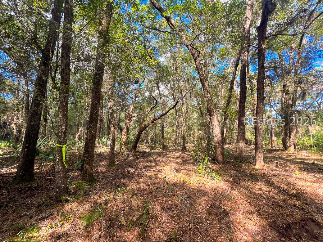 1 Rodeo Drive Daufuskie Island, SC 29915 - Photo 3 of 20