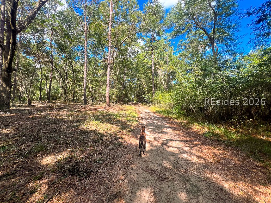 1 Rodeo Drive Daufuskie Island, SC 29915 - Photo 5 of 20
