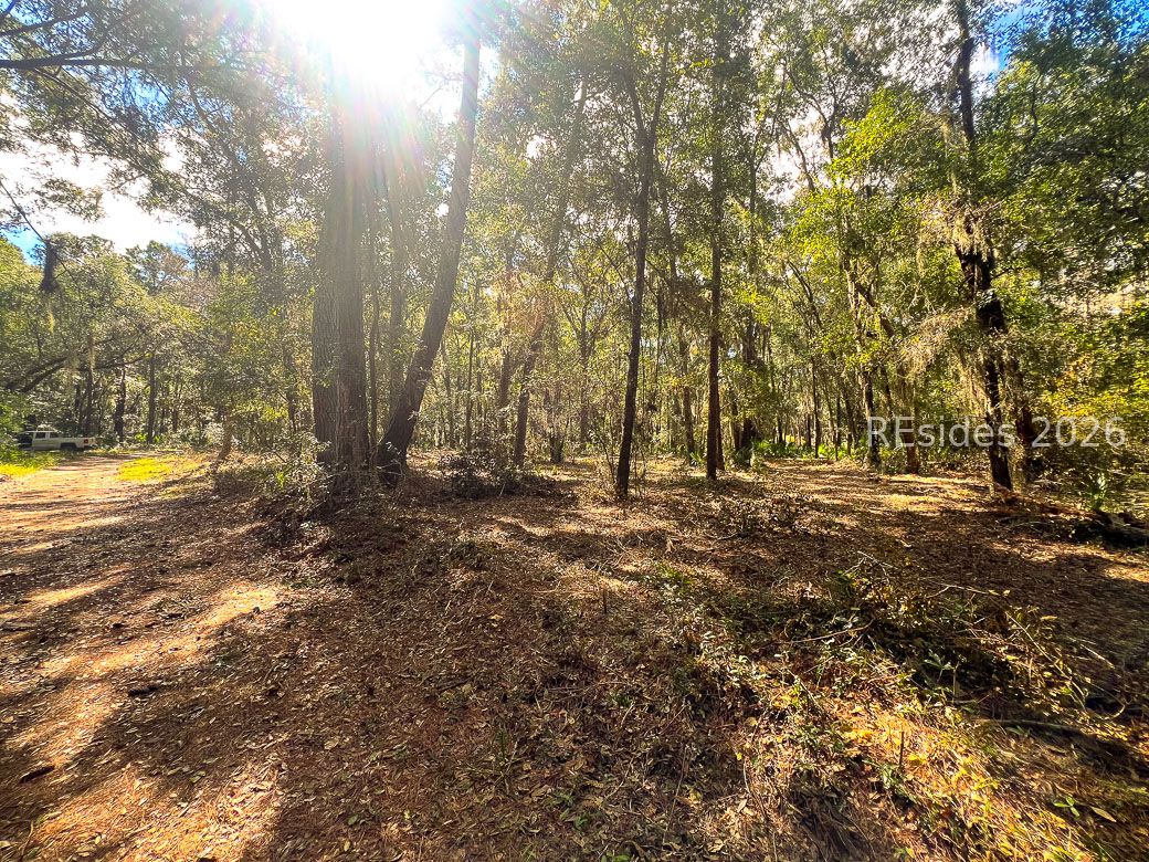 1 Rodeo Drive Daufuskie Island, SC 29915 - Photo 8 of 20