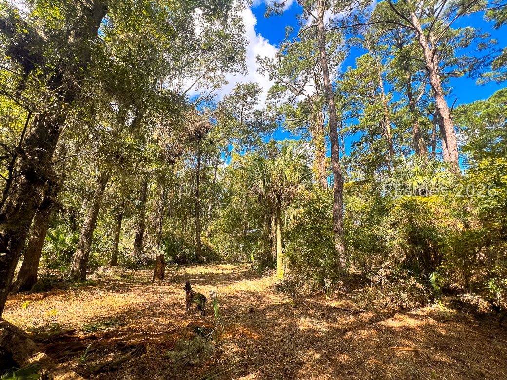 1 Rodeo Drive Daufuskie Island, SC 29915 - Photo 10 of 20