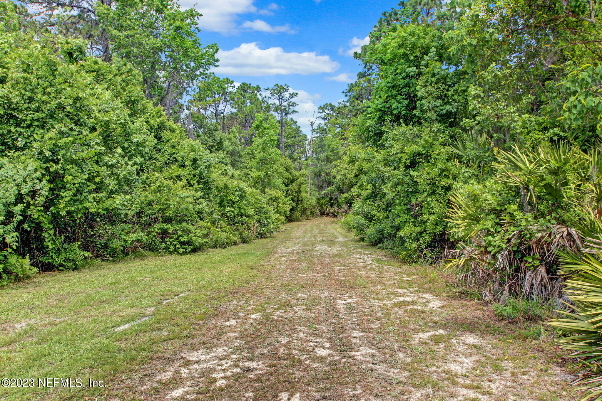 505 West River Road, Unit 2 Palatka, FL 32177 - Photo 54 of 61 Driveway 2