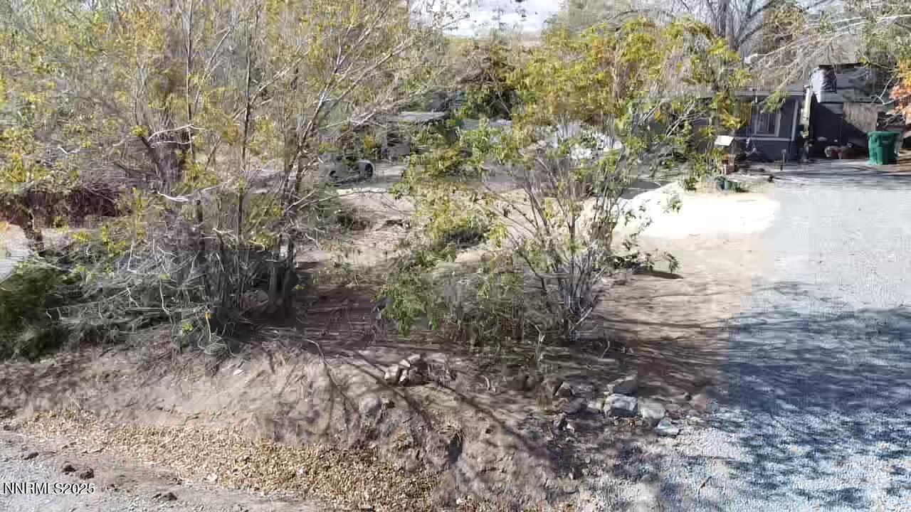 4955 Emery Drive Reno, NV 89506 - Photo 37 of 45 Yard