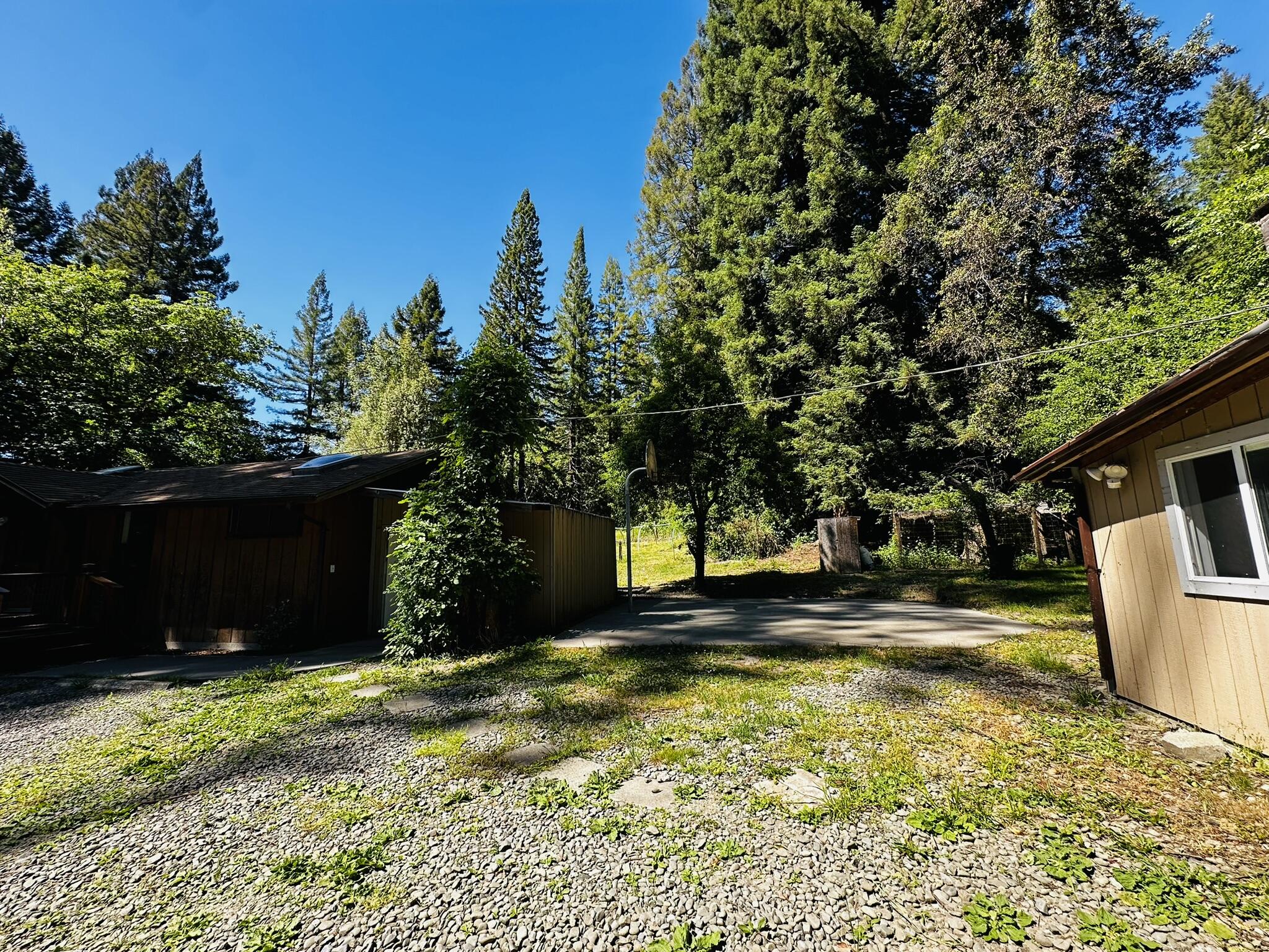2675 Briceland Road Redway, CA 95560 - Photo 75 of 113 IMG_1297