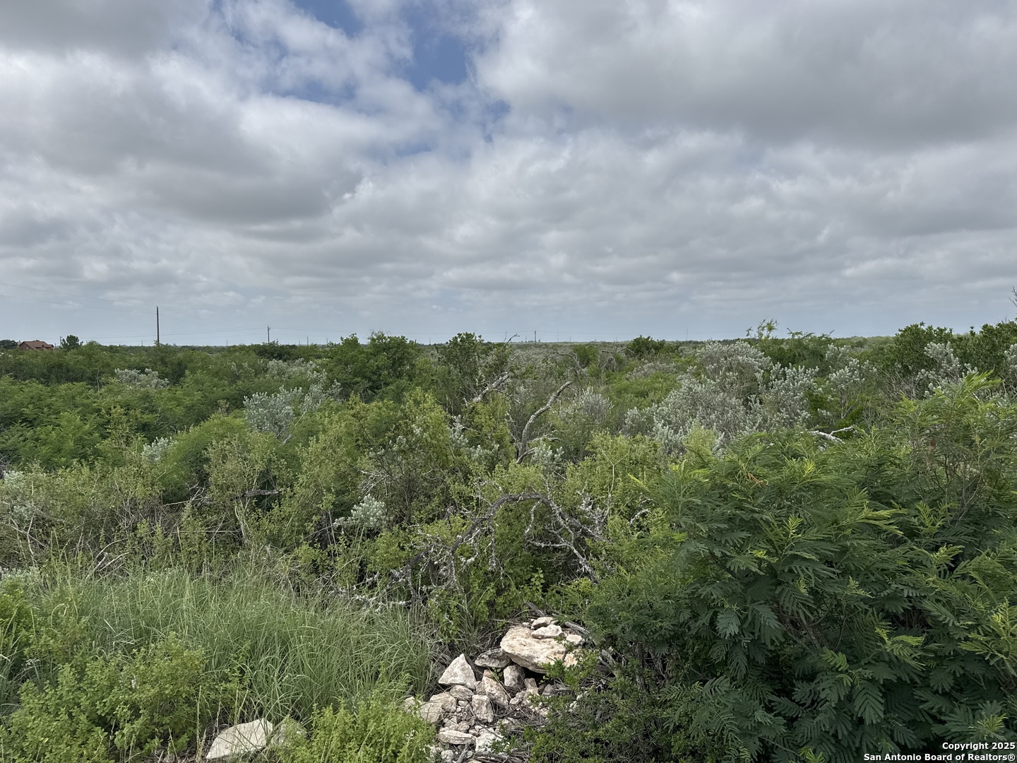 21 Legend Hills Uvalde, TX 78801 - Photo 4 of 6 a yard with lots of green space