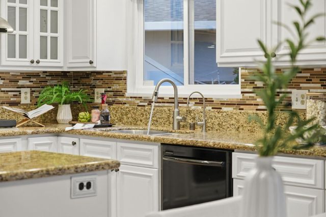 a view of a backyard with potted plants and tree
