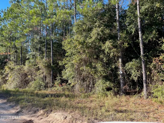 $63,000 | 0 Cross Country Boulevard, Marianna, FL 32446