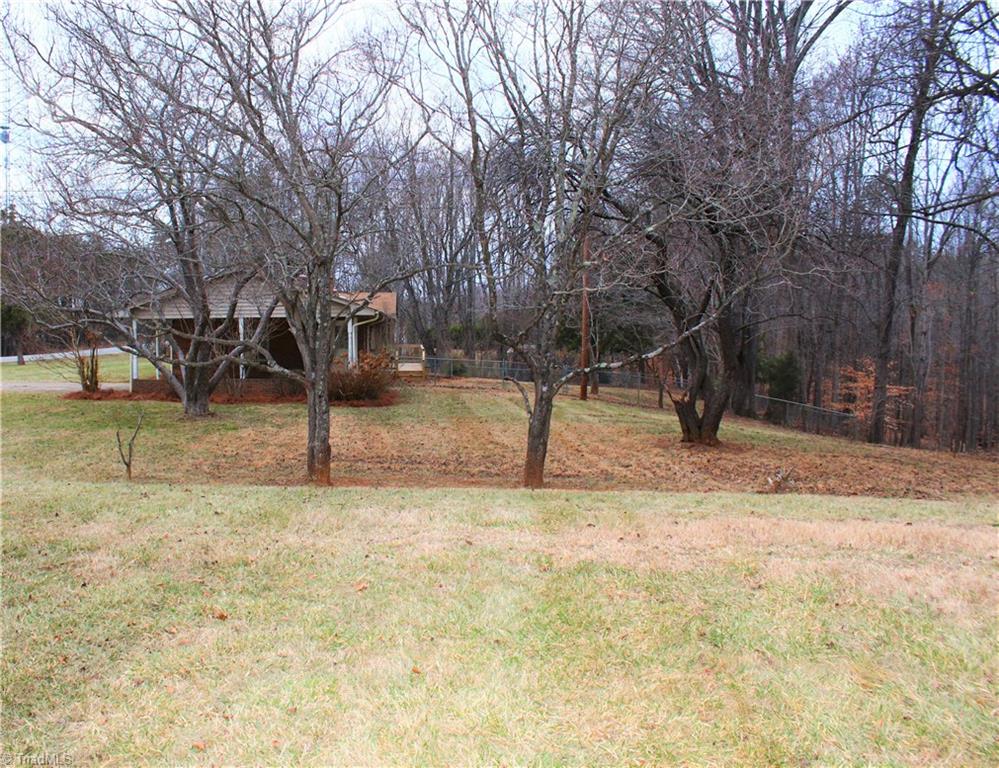 5151 Highway 704 Sandy Ridge, NC 27046 - Photo 24 of 29