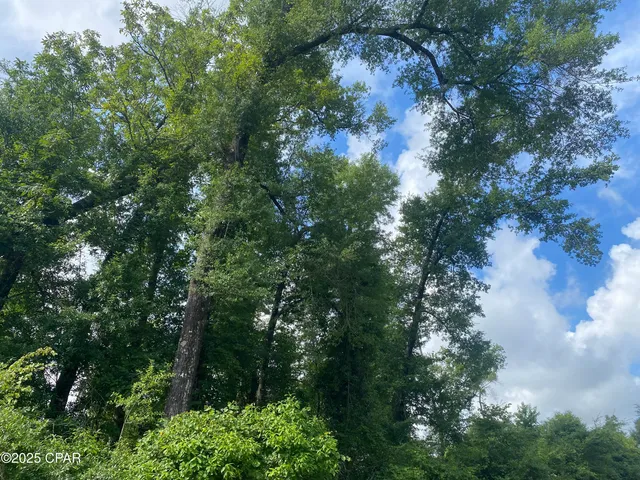 $39,000 | 0 Oak Drive, Unit 13, Marianna, FL 32446