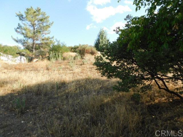 29949 Canadian Honker Road Campo, CA 91906 - Photo 6 of 7 Gallery Image 6