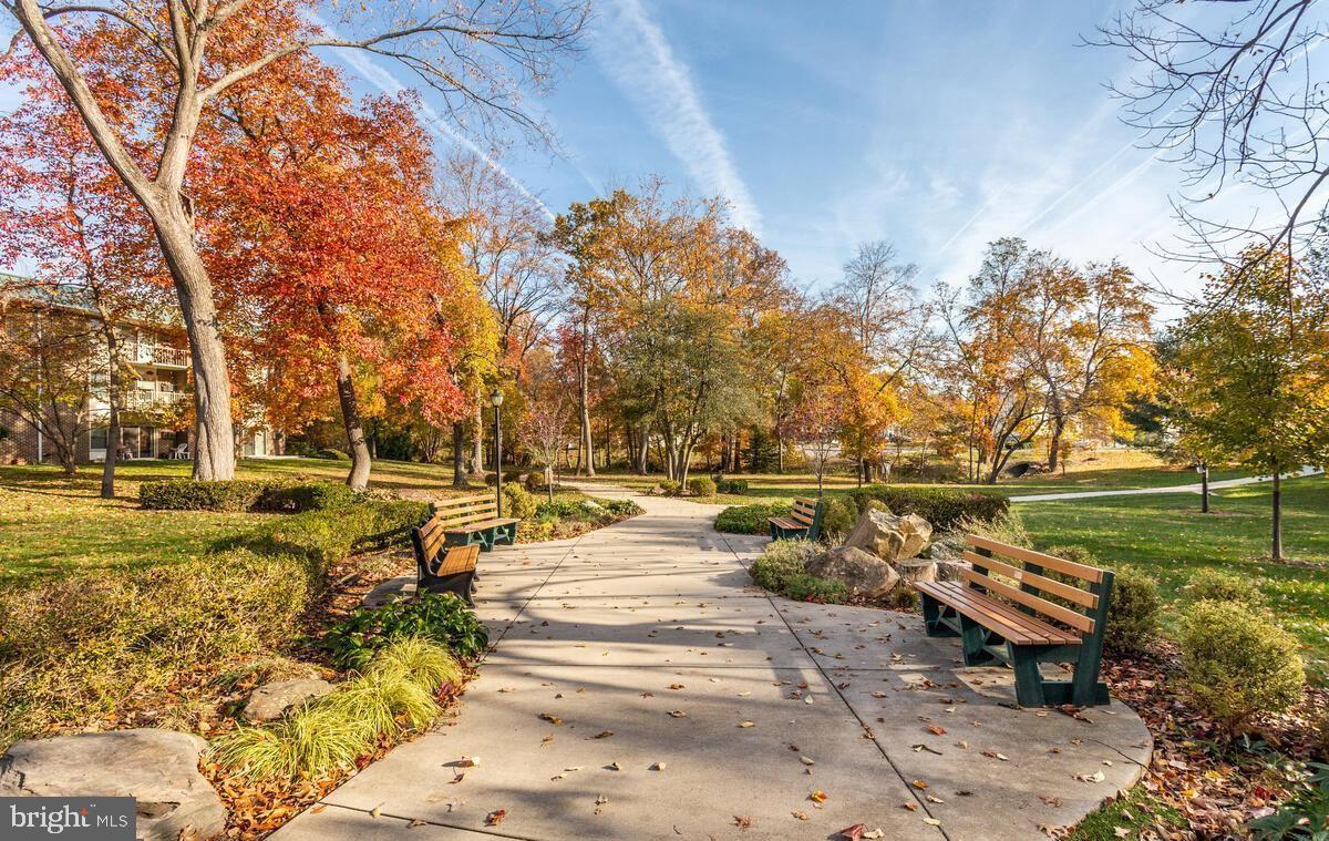 3320 Chiswick Court, Unit 611D Silver Spring, MD 20906 - Photo 4 of 38 a view of a yard with trees