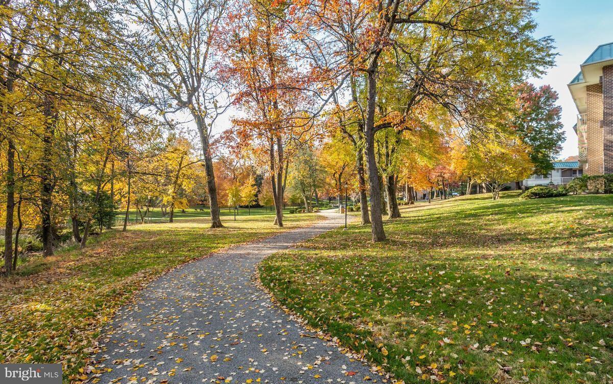 3320 Chiswick Court, Unit 611D Silver Spring, MD 20906 - Photo 6 of 38 a view of a park with large trees