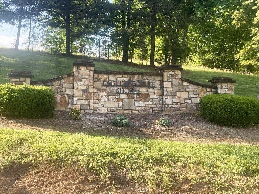 a view of a yard with plants and large trees