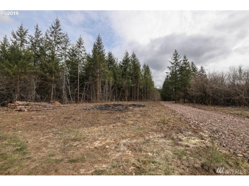 Bremgartner Road Winlock, WA 98596 - Photo 1 of 3