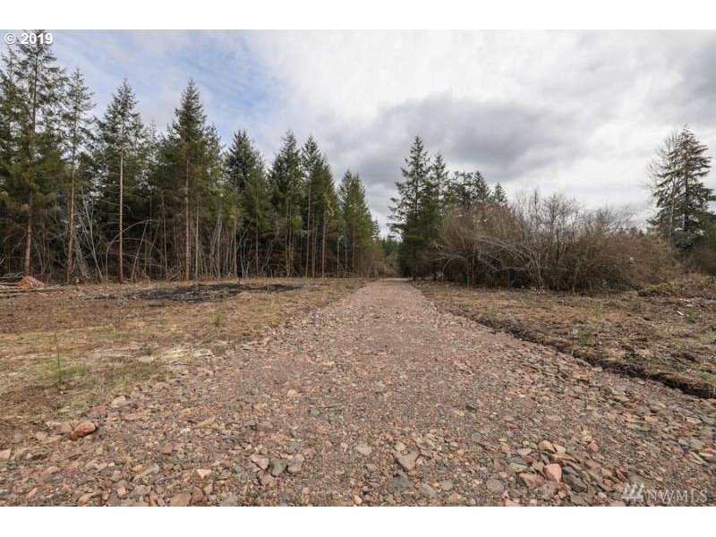 Bremgartner Road Winlock, WA 98596 - Photo 3 of 3
