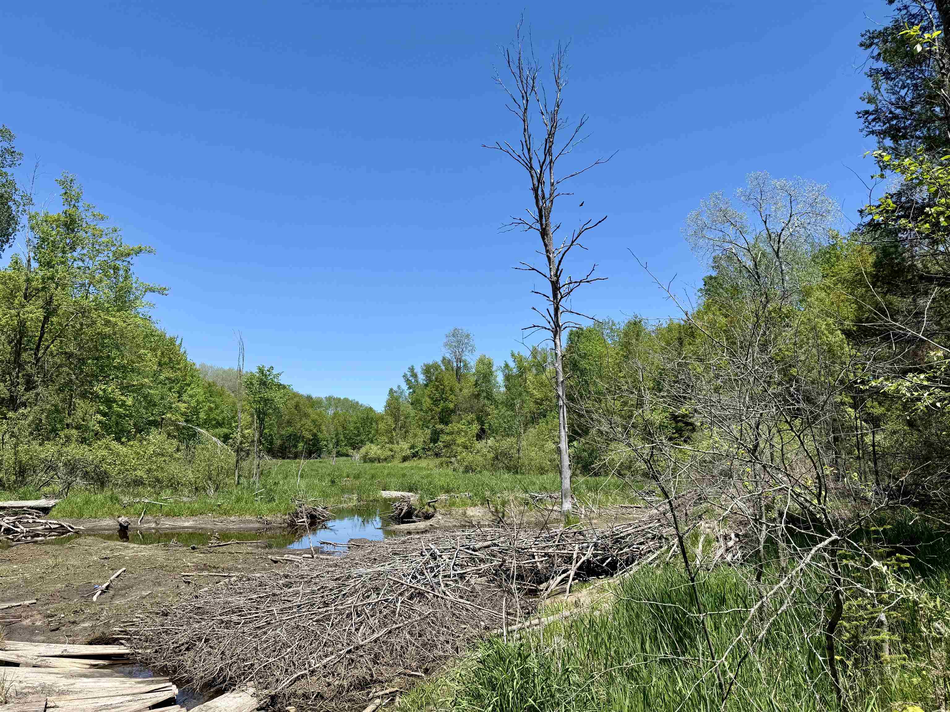 0 Ora Lake Road Hale, MI 48739 - Photo 13 of 22