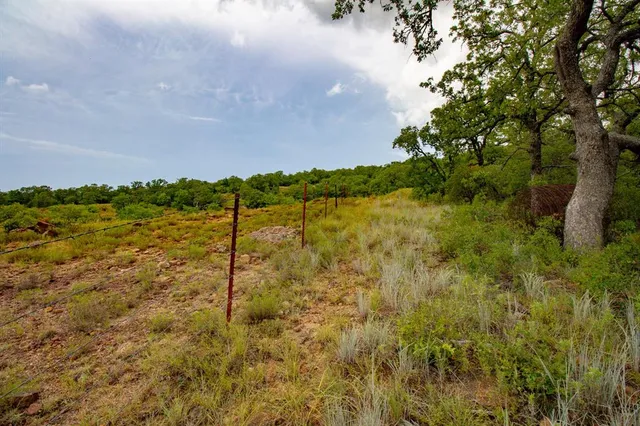 a view of a pathway both side of grassy field with shrub